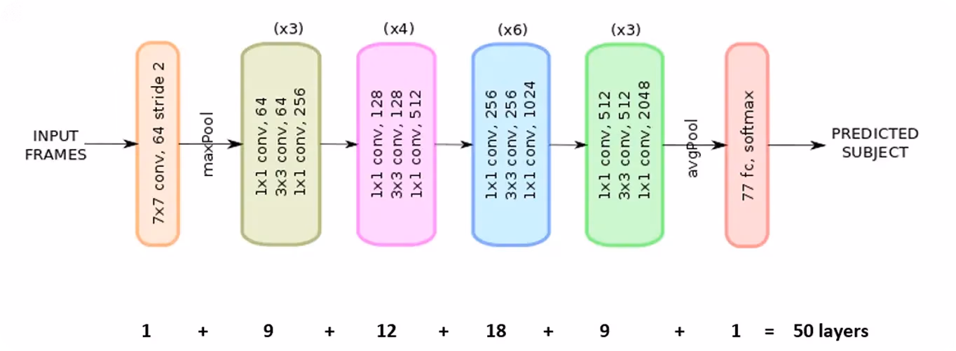 Diagramma dell'architettura ResNet-50