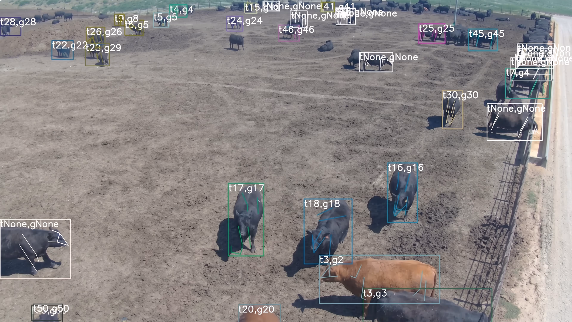 HerdSense monitoring and identifying cows using behavioral AI