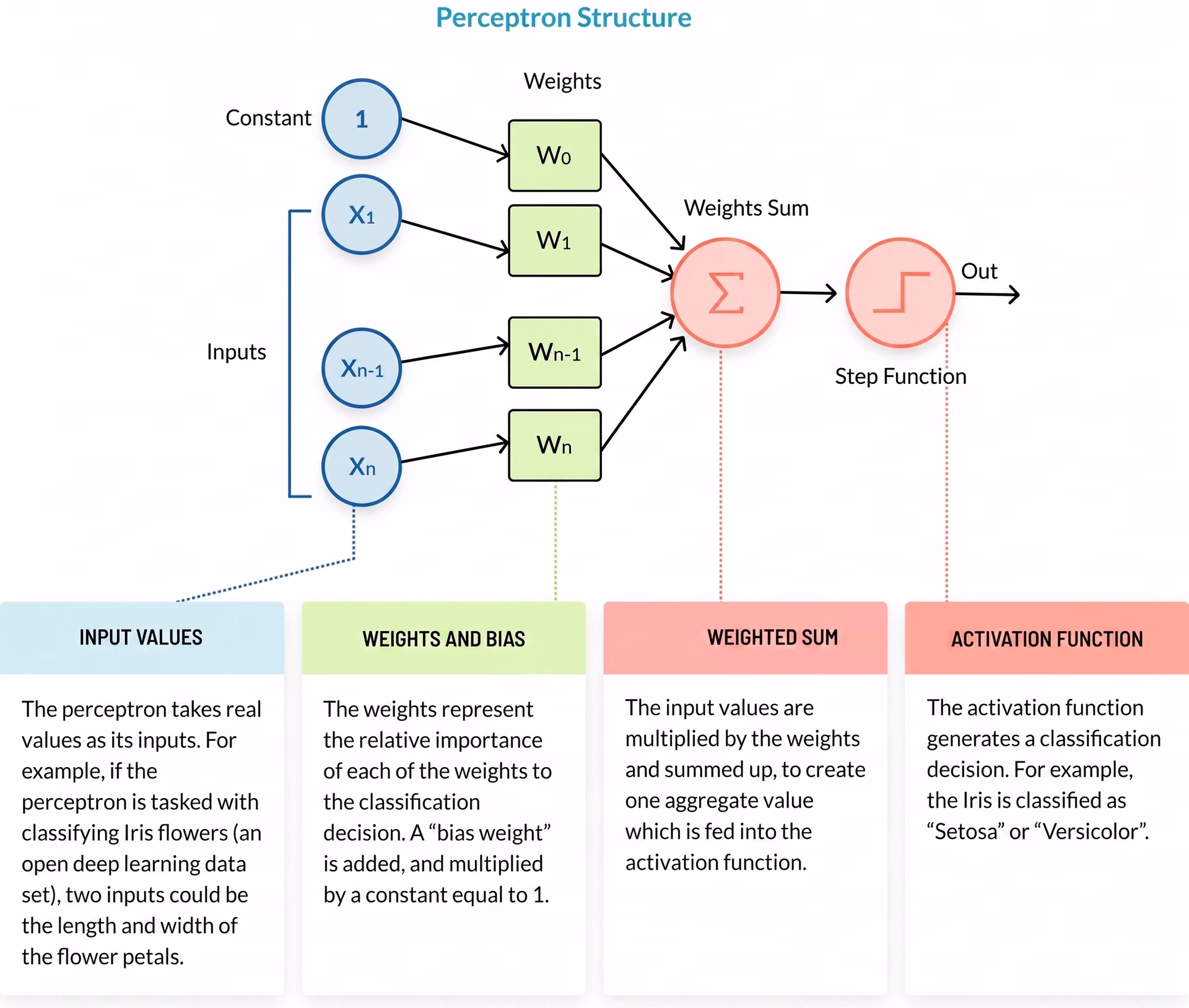 An overview of a perceptron