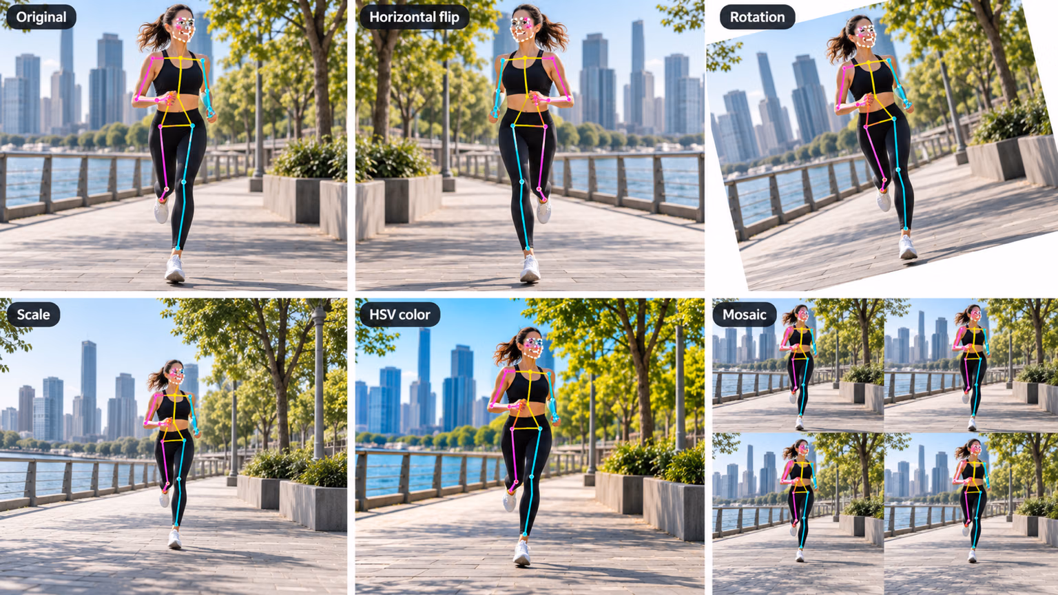 Examples of data augmentation techniques including flips, rotations, scaling, and color adjustments applied to a sample image
