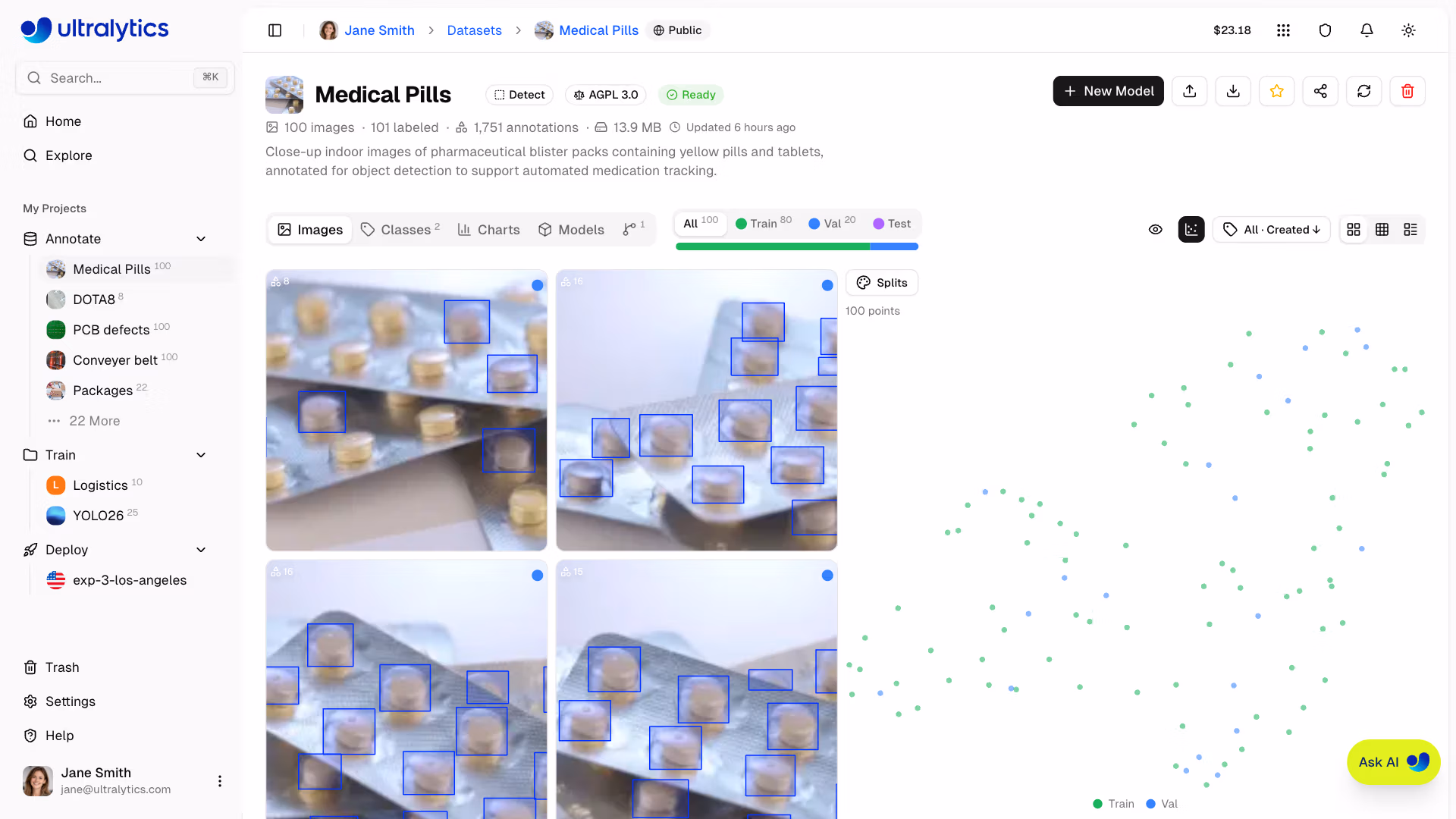 Ultralytics Platform Datasets Clustering Scatter Plot