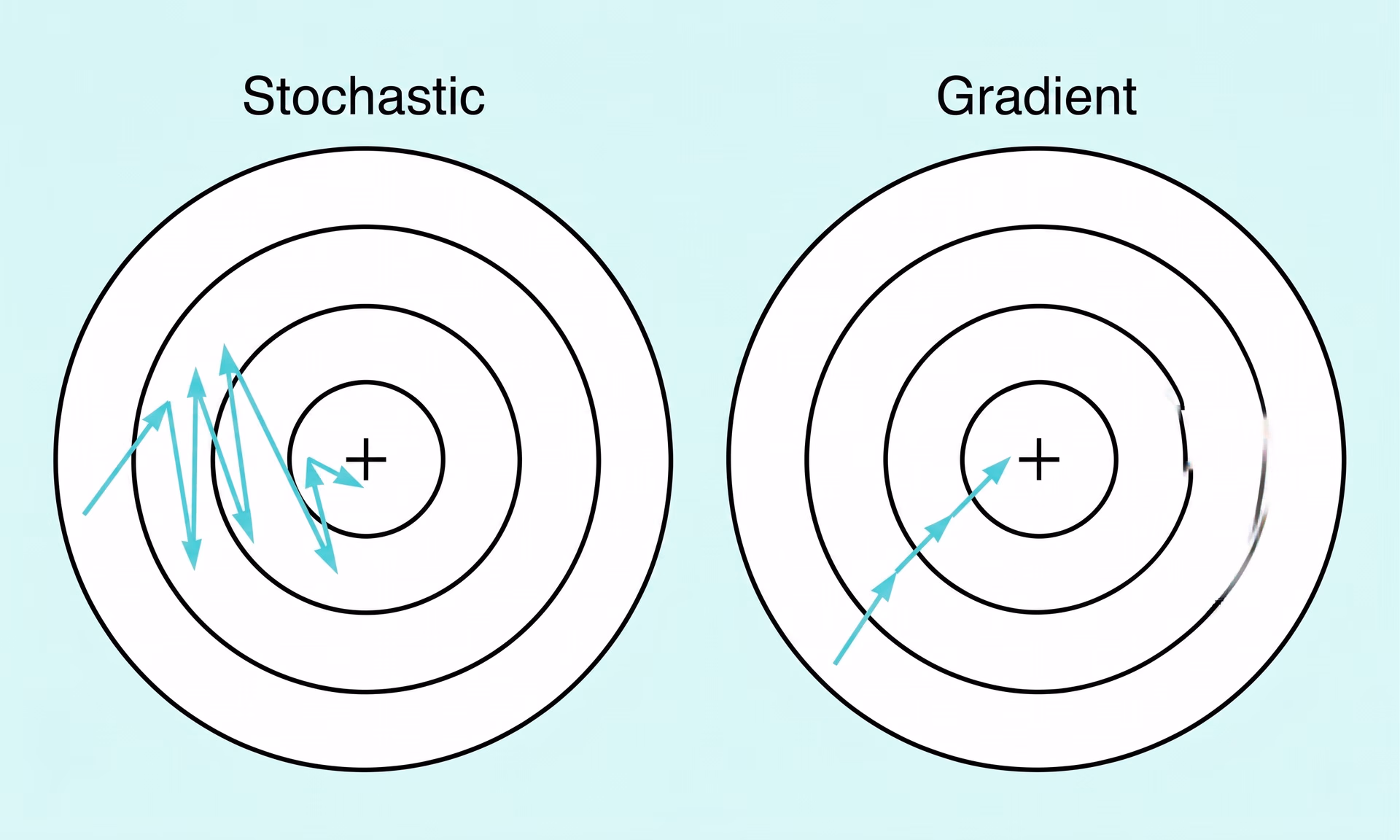 Stochastischer Gradientenabstieg im Vergleich zu Gradientenabstieg