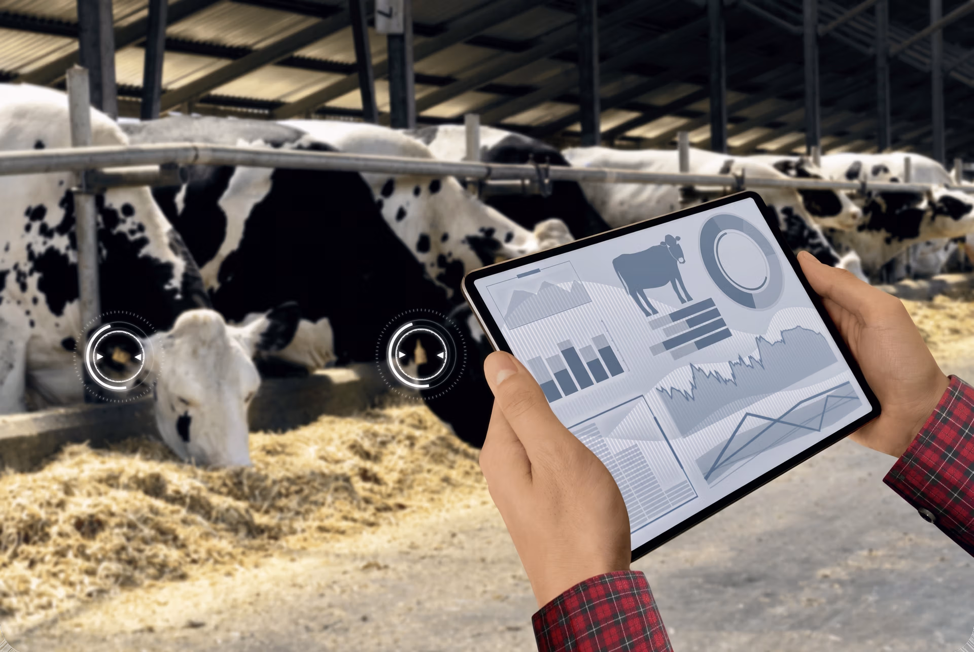 AI in livestock management