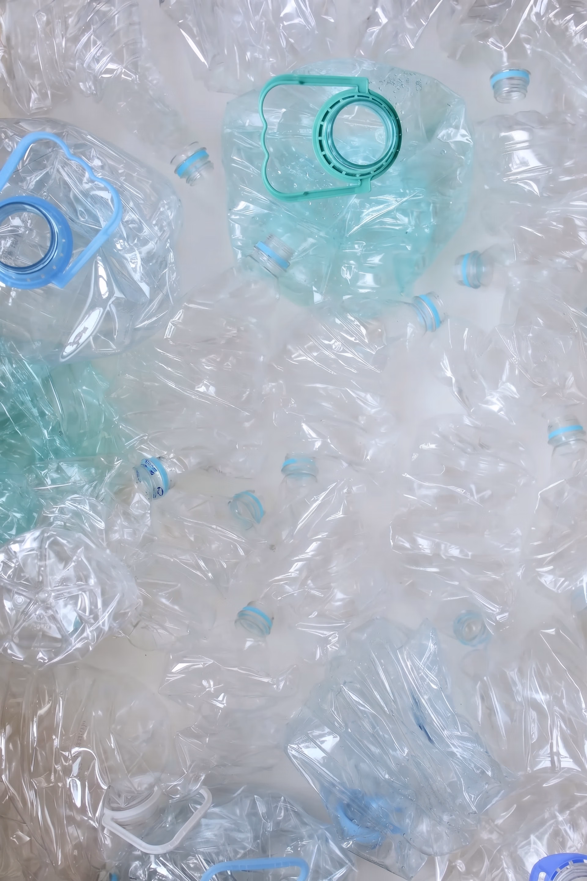 AIゴミ分別のためにYOLOv8を使用するTrashBestieアプリ
