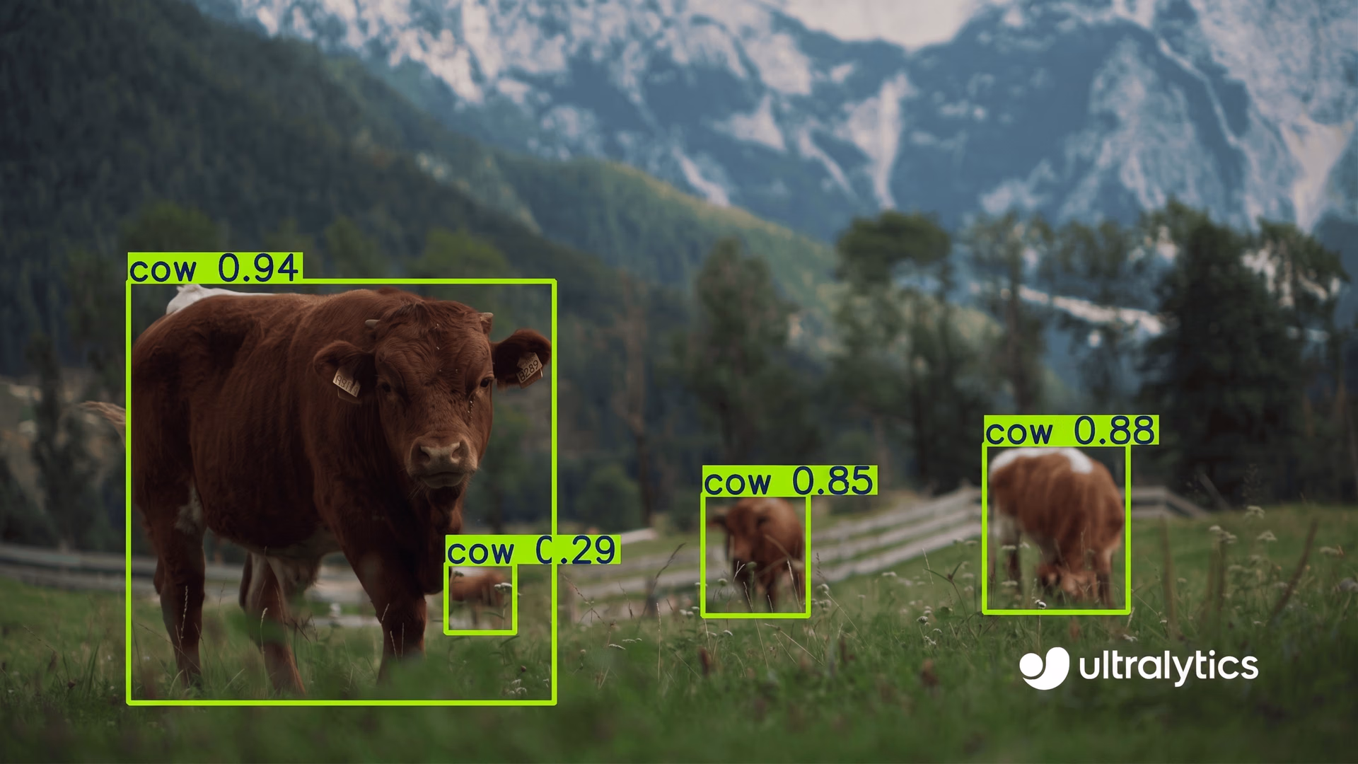 Using the Ultralytics YOLO11 model for object detection
