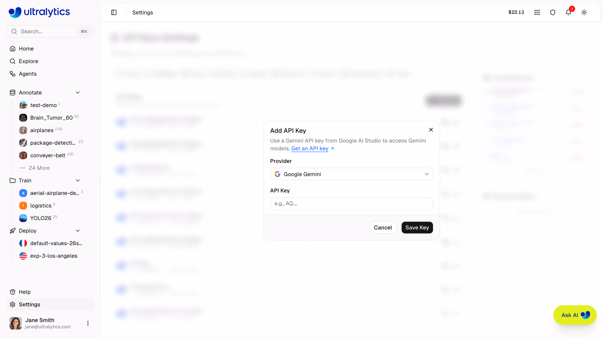 مربع حوار إضافة مفتاح API لمنصة Ultralytics مع تحديد Google Gemini كمزود