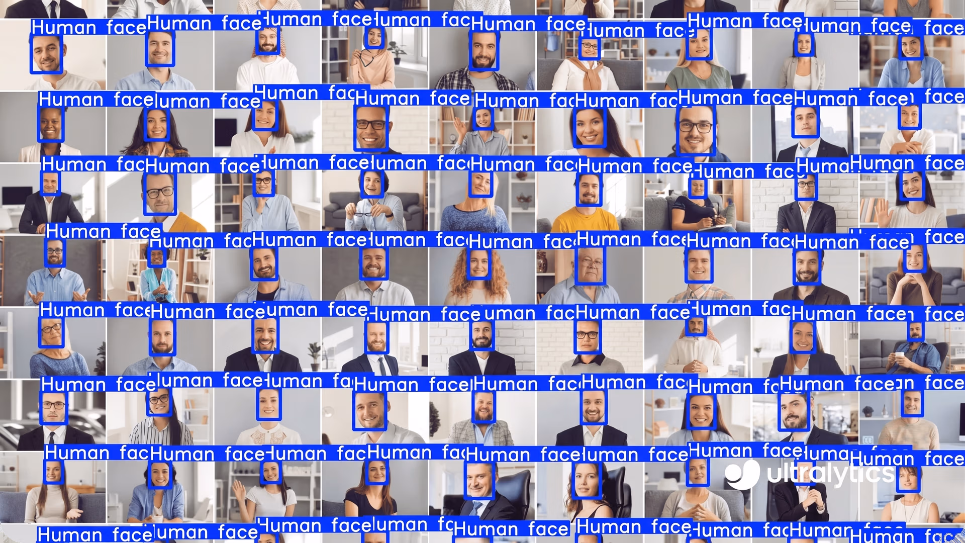 Ultralytics YOLO11 detecting human faces