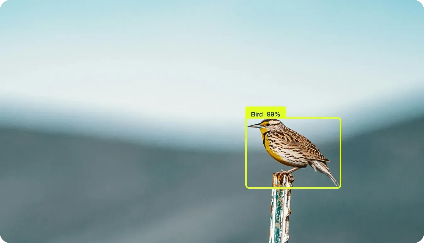 Comparer les techniques de vision par ordinateur et de traitement d'image