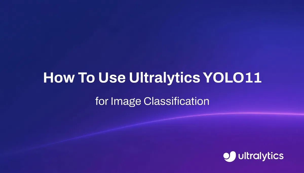 YOLO11 图像分类指南 - Ultralytics