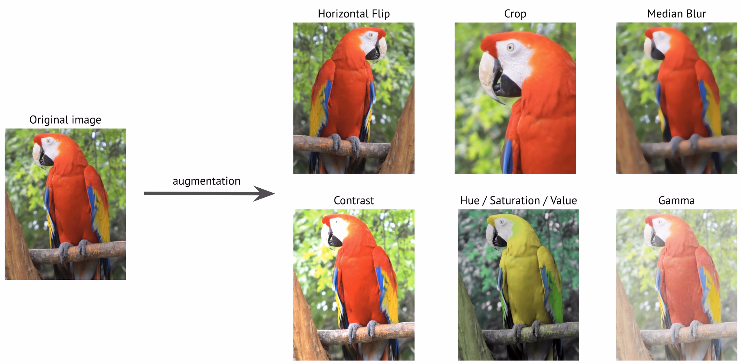 YOLO data augmentation examples showing original and augmented images for training