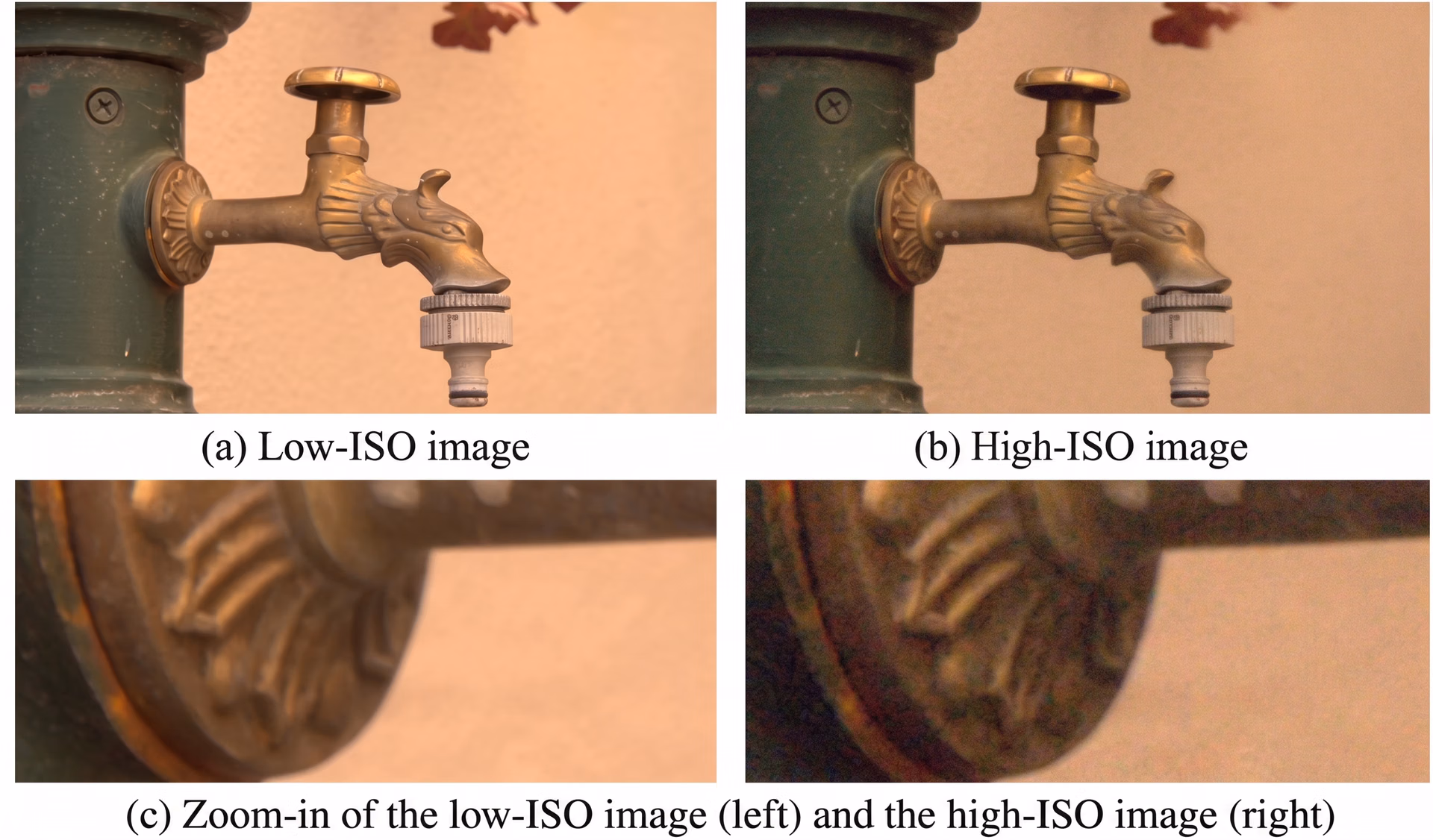 An example from the DND dataset