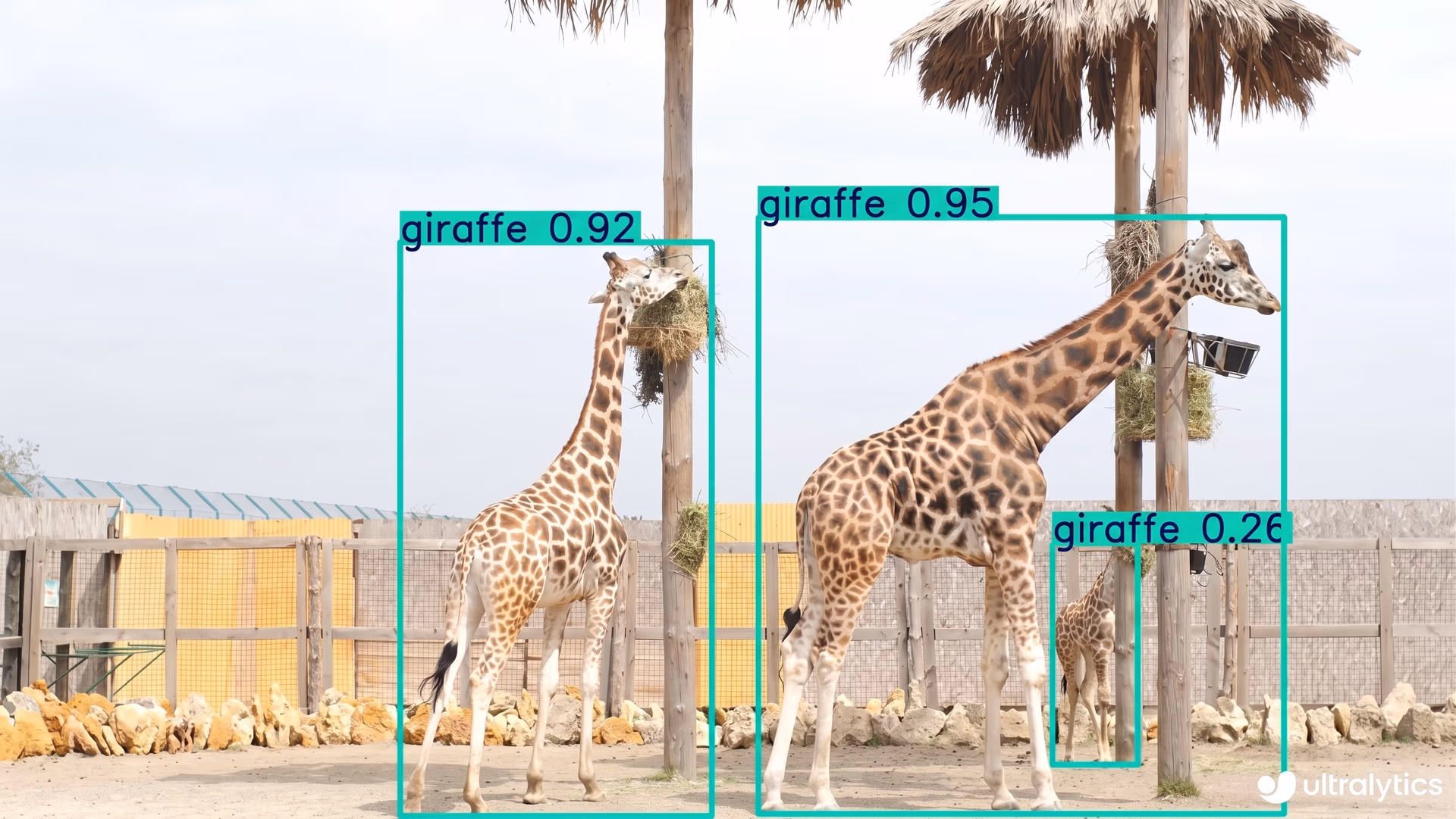Ultralytics YOLO11 erkennt und verfolgt Tiere im Zoo