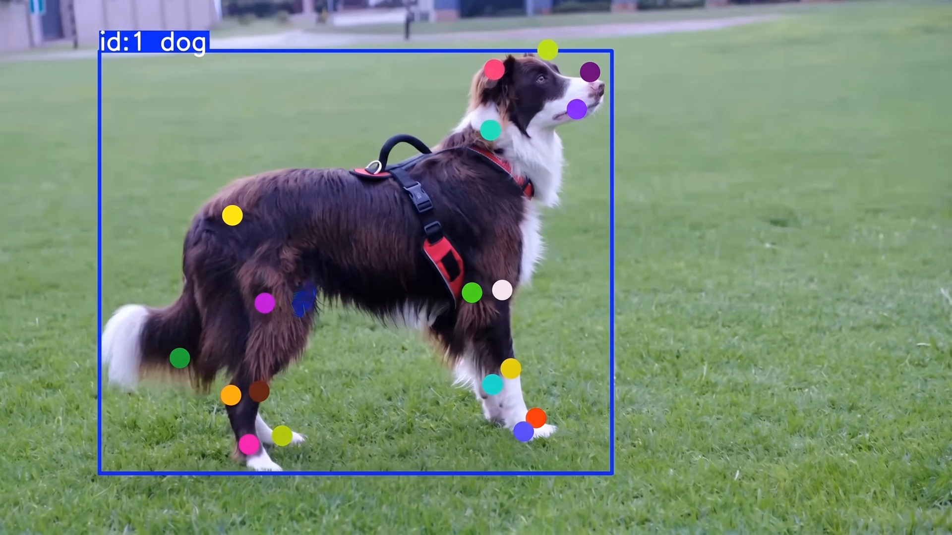 Points clés du corps détectés sur un chien pour l'estimation de pose
