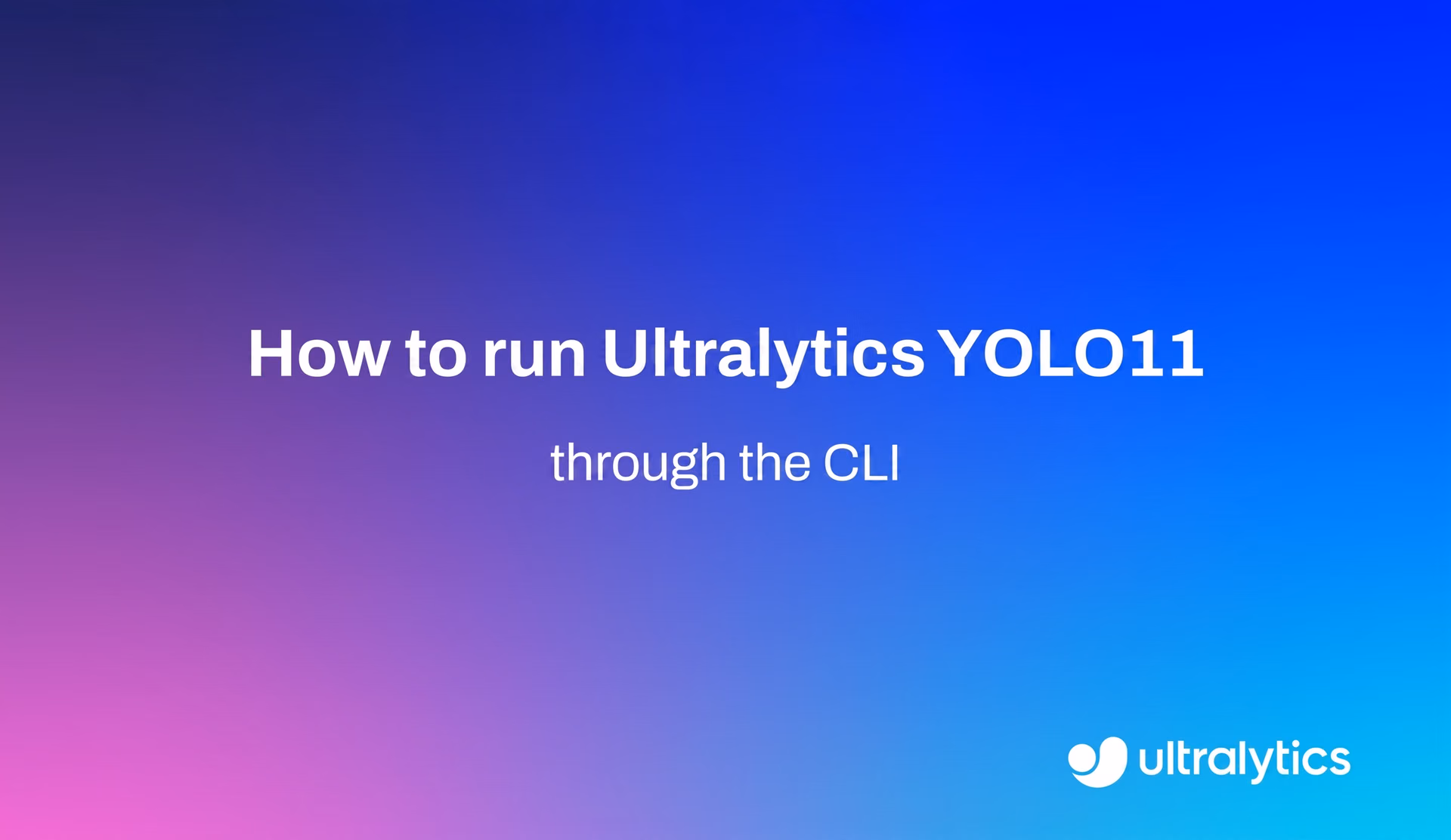 コマンドラインインターフェースを通じたUltralytics YOLO11の実行