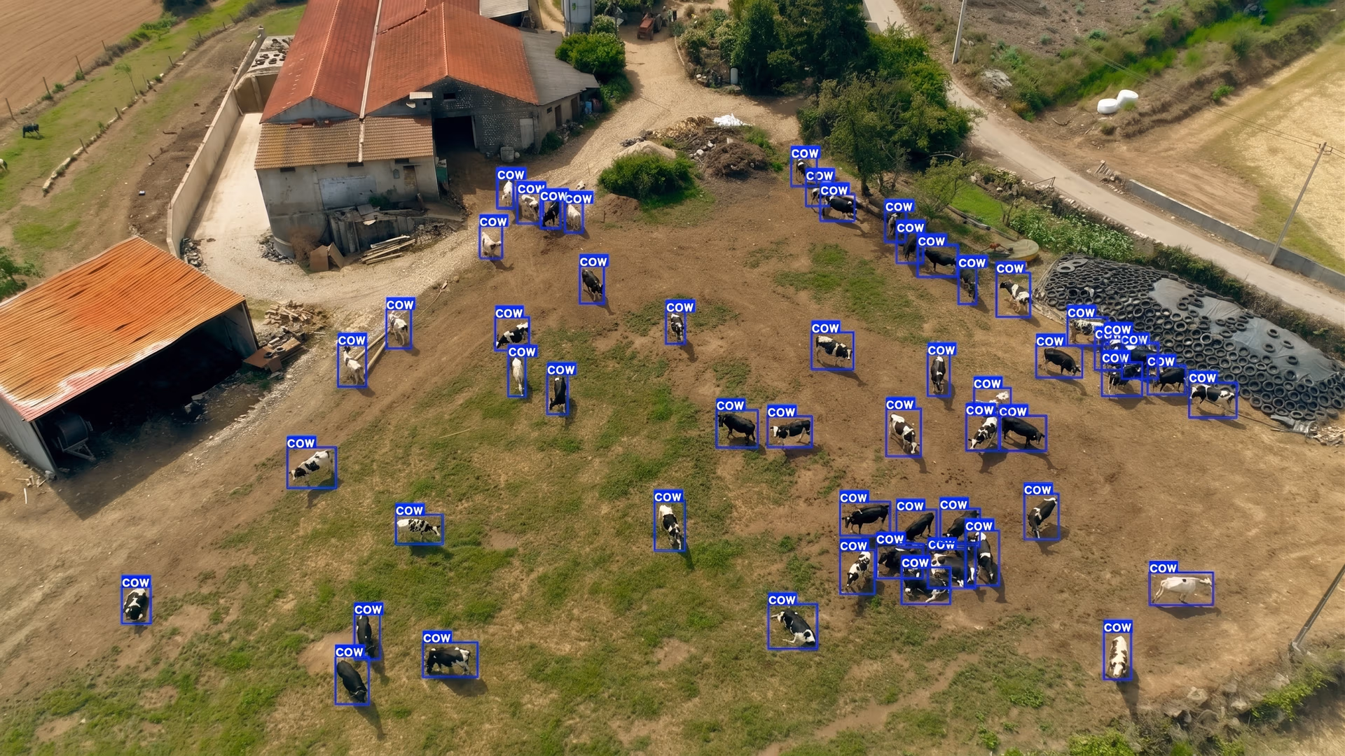 Monitoring cows using AI and image analysis