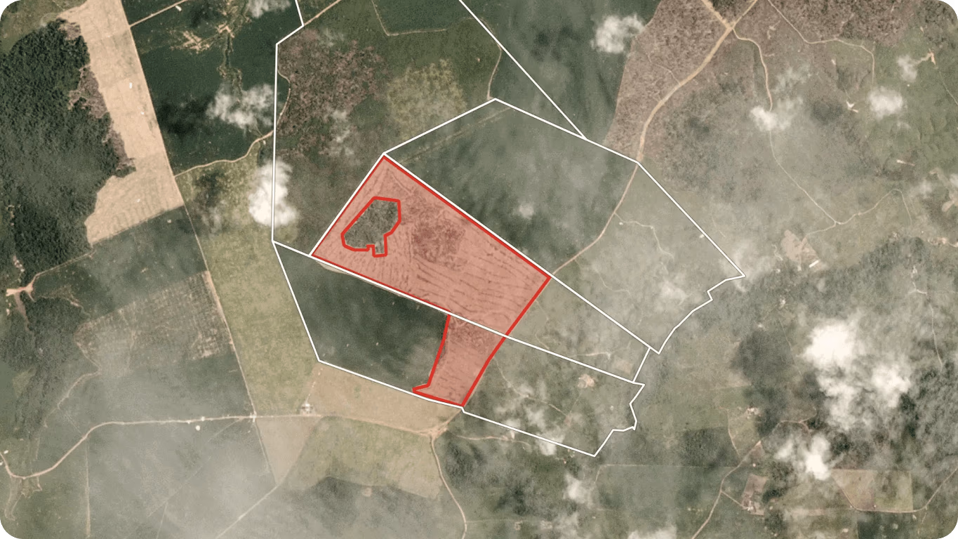 Immagini satellitari di diverse aree di campo