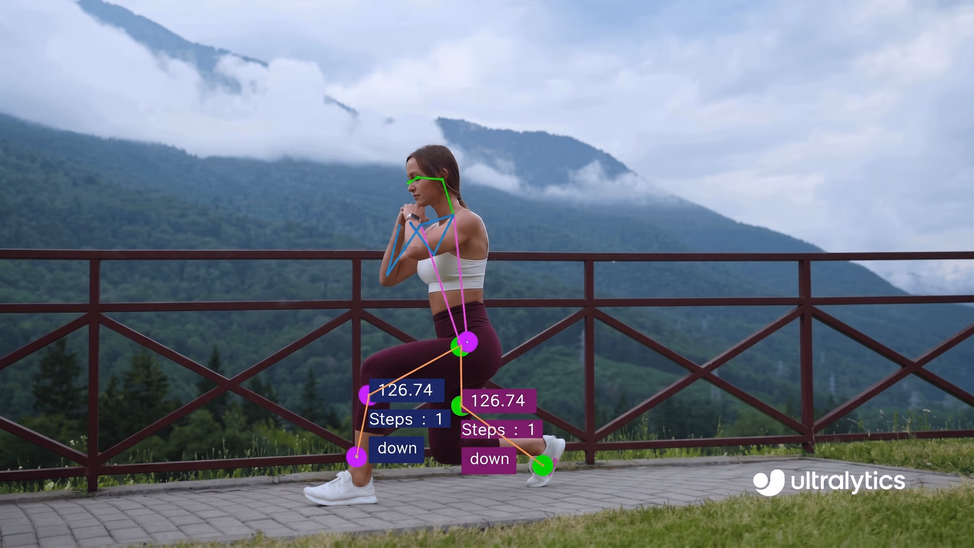 Using pose estimation to analyze a workout