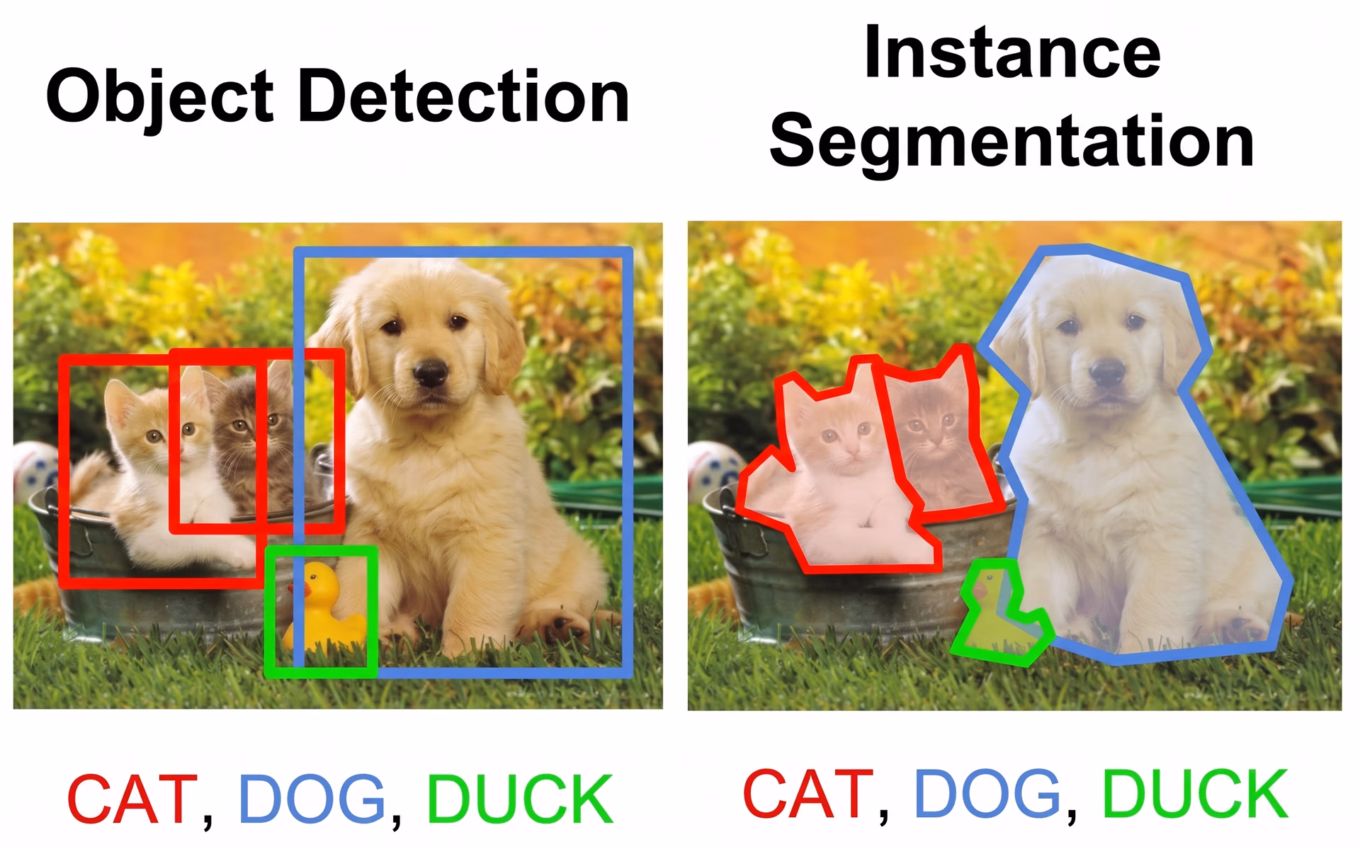 Comparison of object detection and instance segmentation