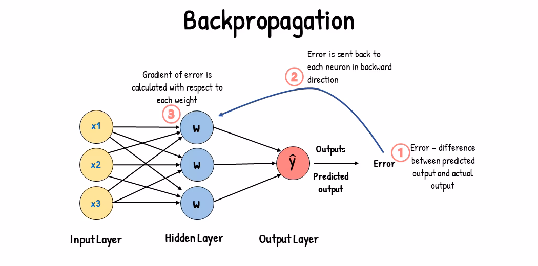 What is Backpropagation?