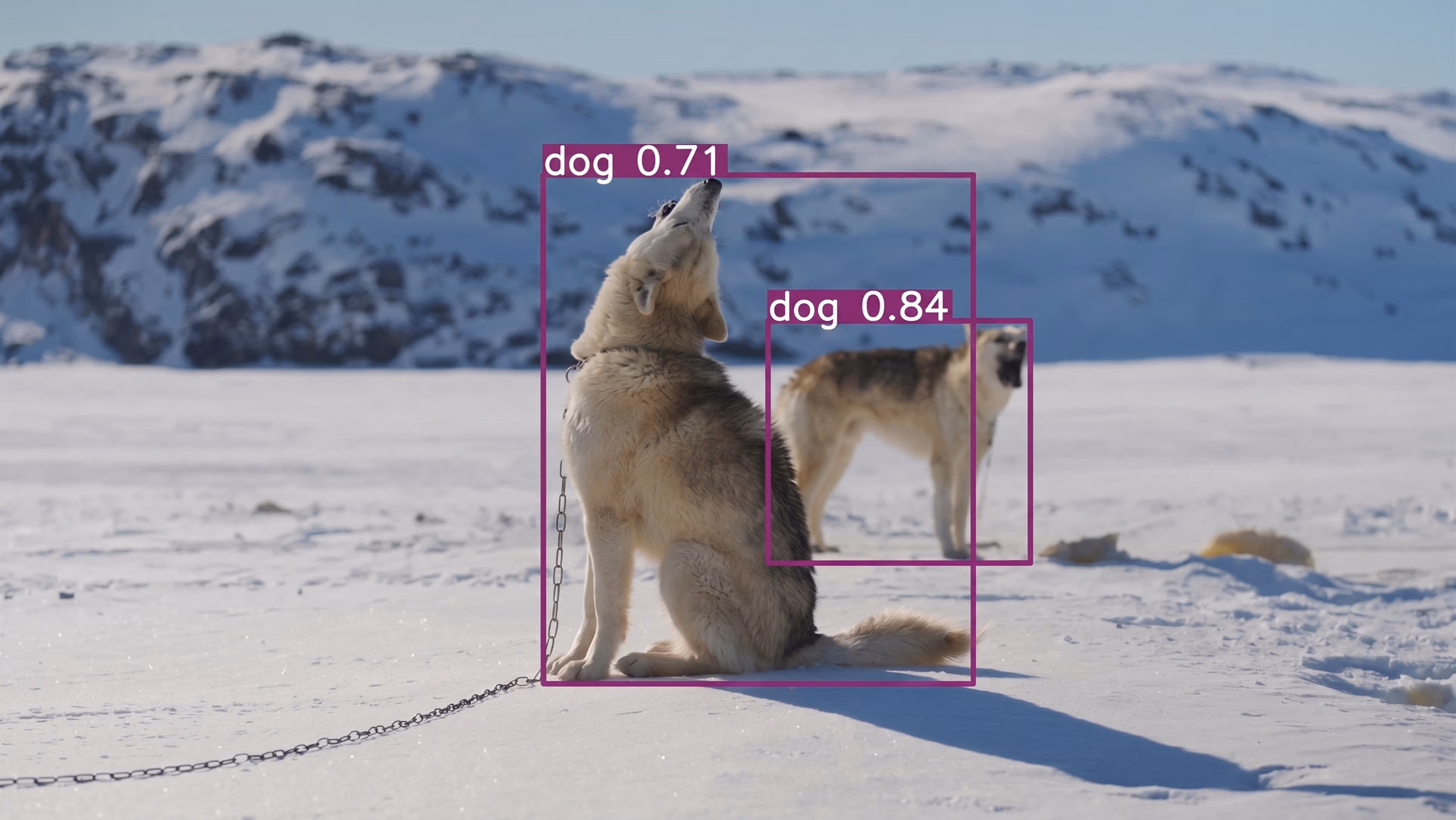 Vision-KI erkennt Objekte in visuellen Daten aus der realen Welt