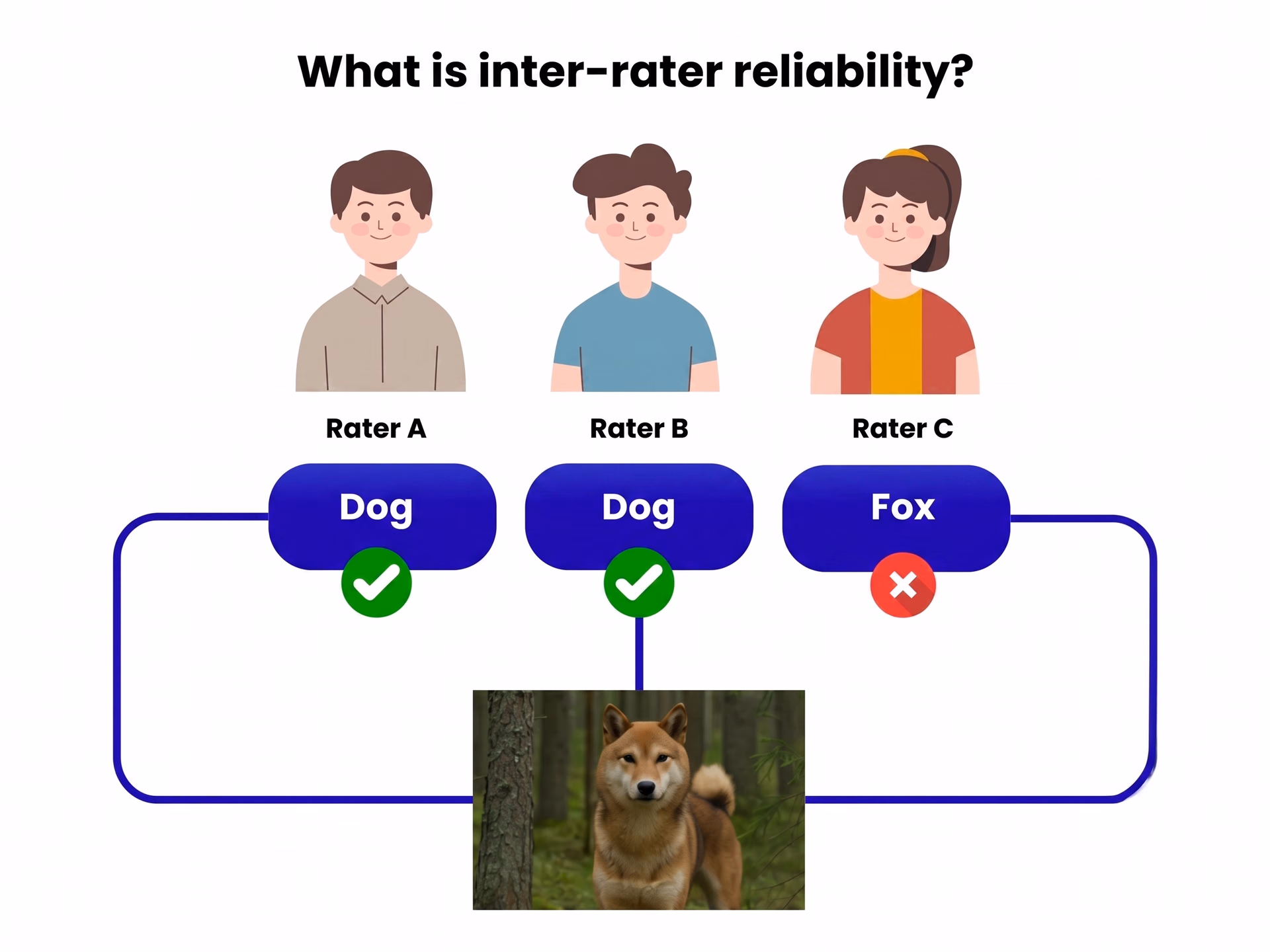 Understanding inter-rater reliability