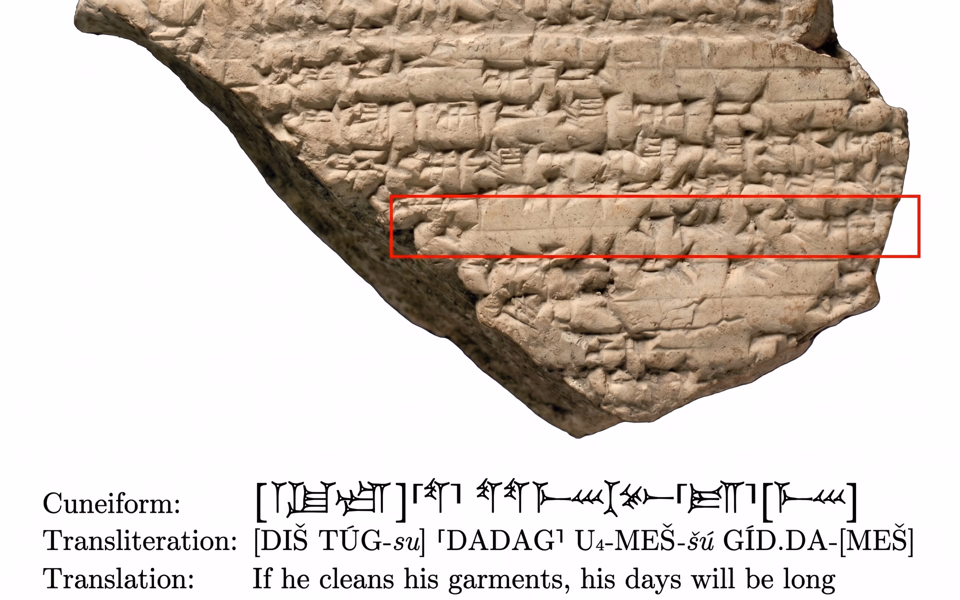 A historical script on stone with AI translating the ancient text