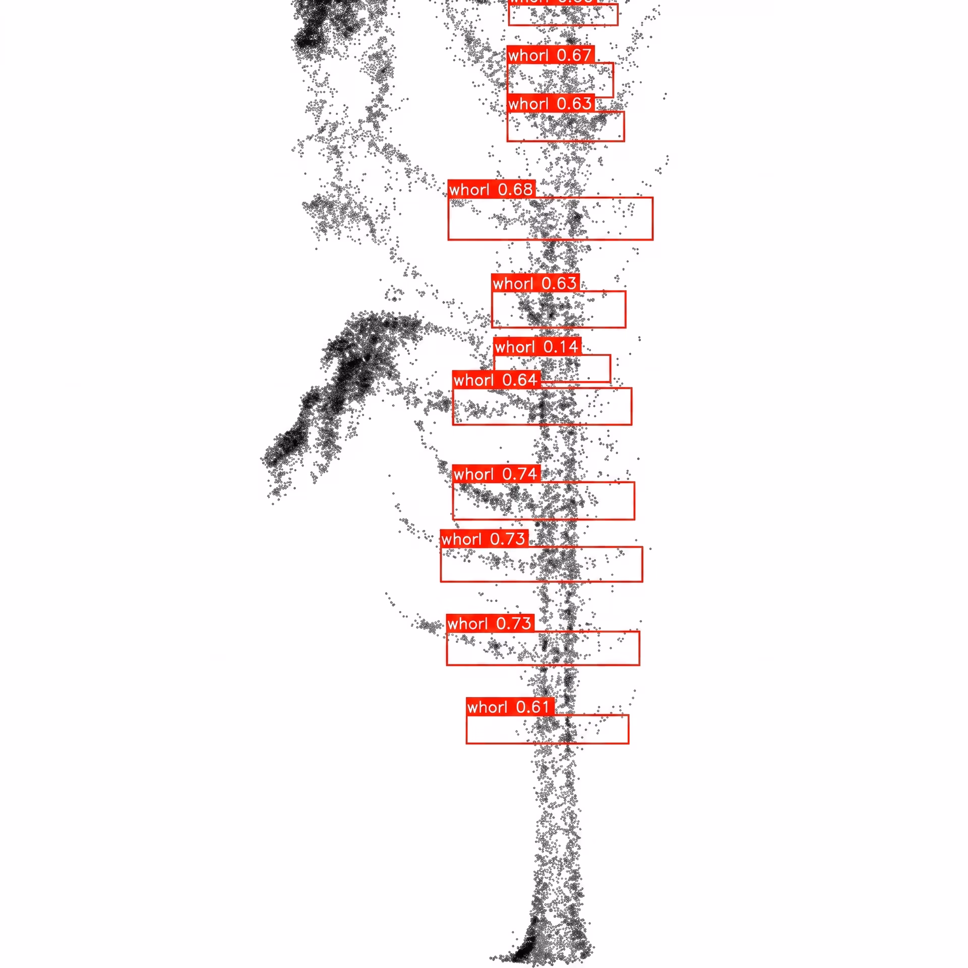 Árbol con YOLOv5