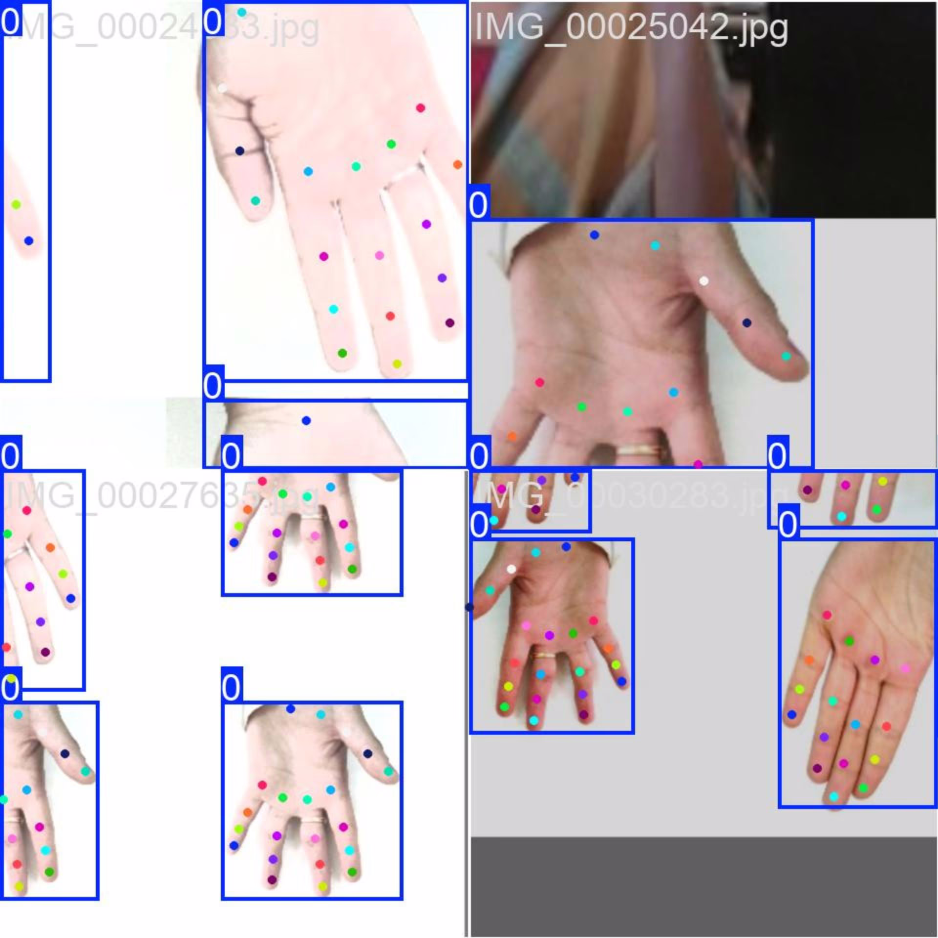 Hand keypoints pose estimation dataset sample