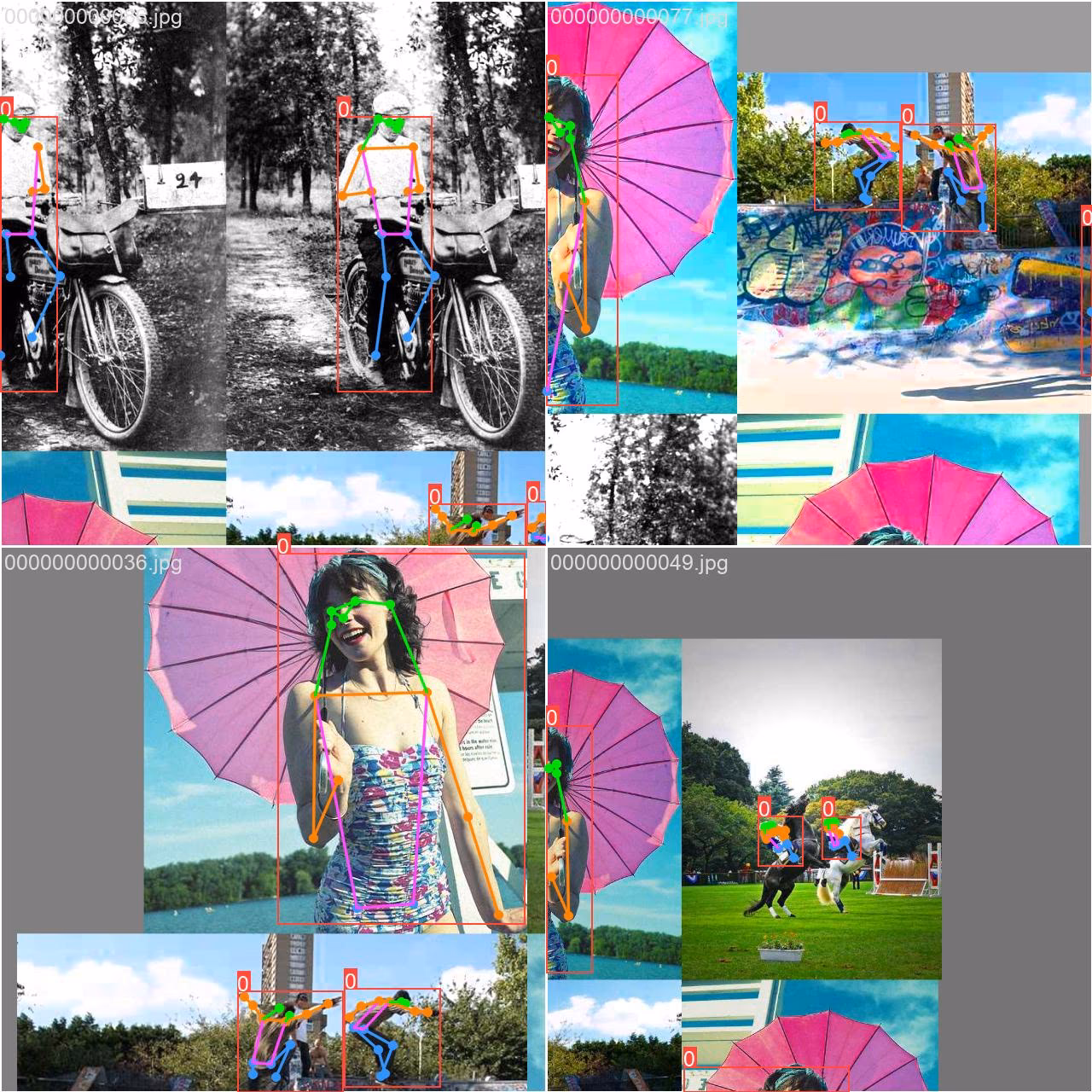 COCO8-pose keypoint estimation dataset mosaic