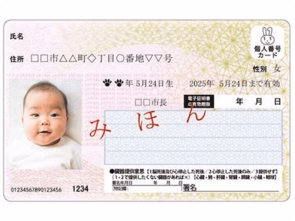 Bir Japonya My Number Kartı