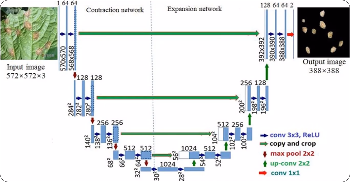 Diagramma dell'architettura encoder-decoder di U-Net
