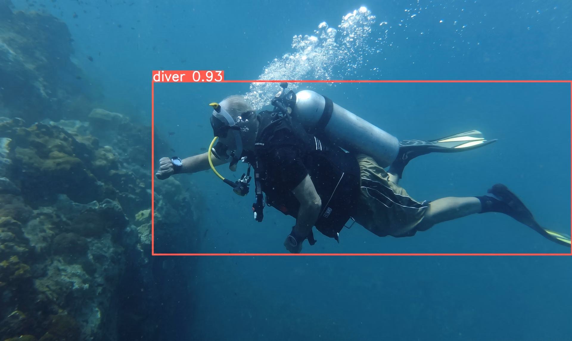 YOLO11 detecting and tracking divers in real time