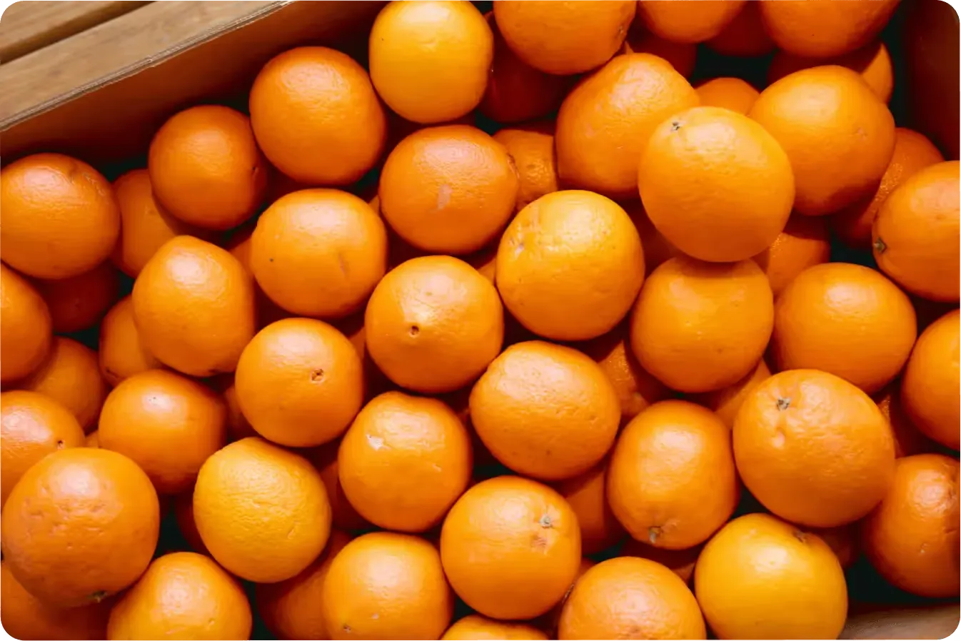 AI driving innovation across agriculture from farm to table