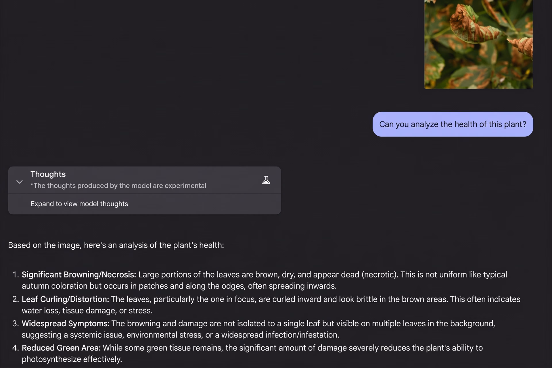 Gemini 2.5 Pro analyzing a plant's health