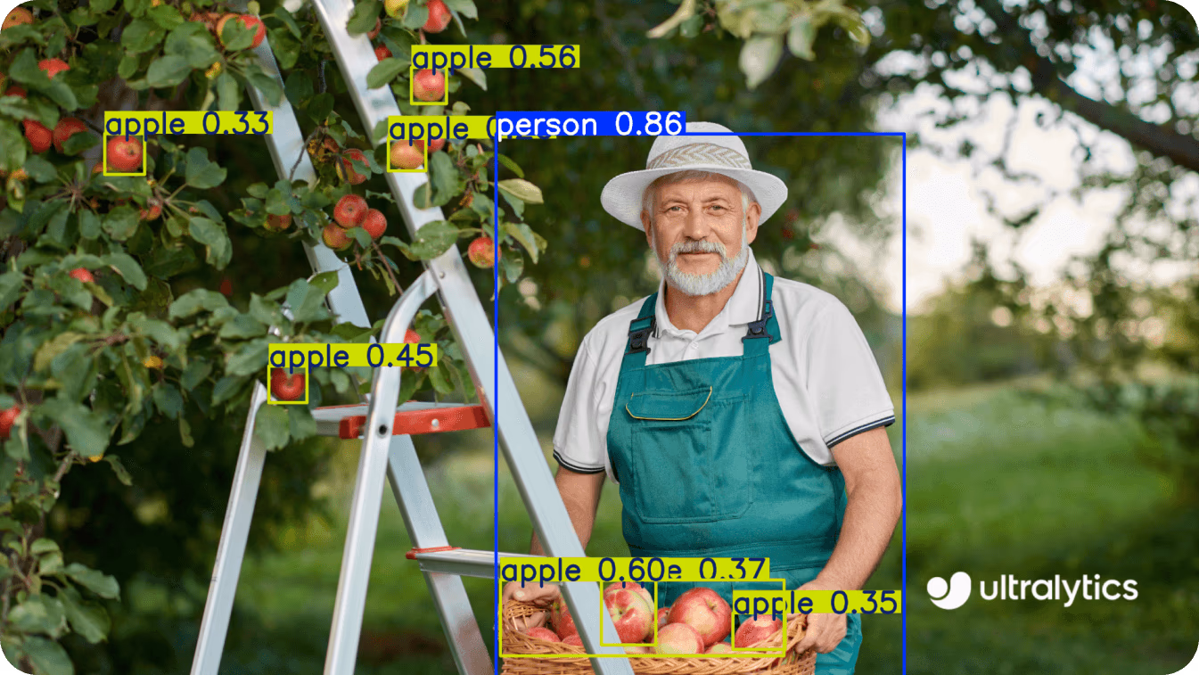 Utilizzo di YOLO11 in agricoltura