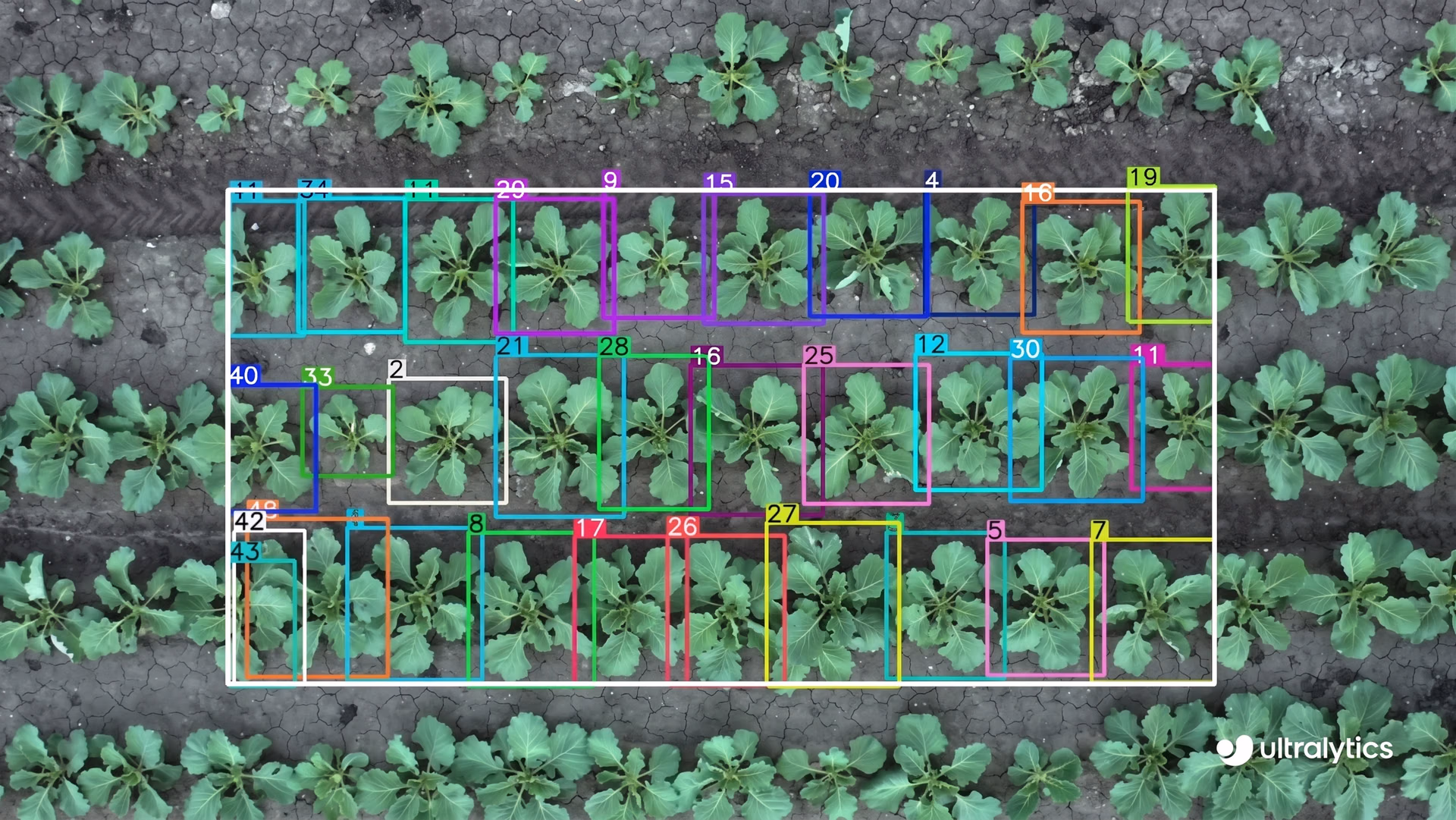Using Ultralytics YOLO11 to monitor large-scale agricultural fields