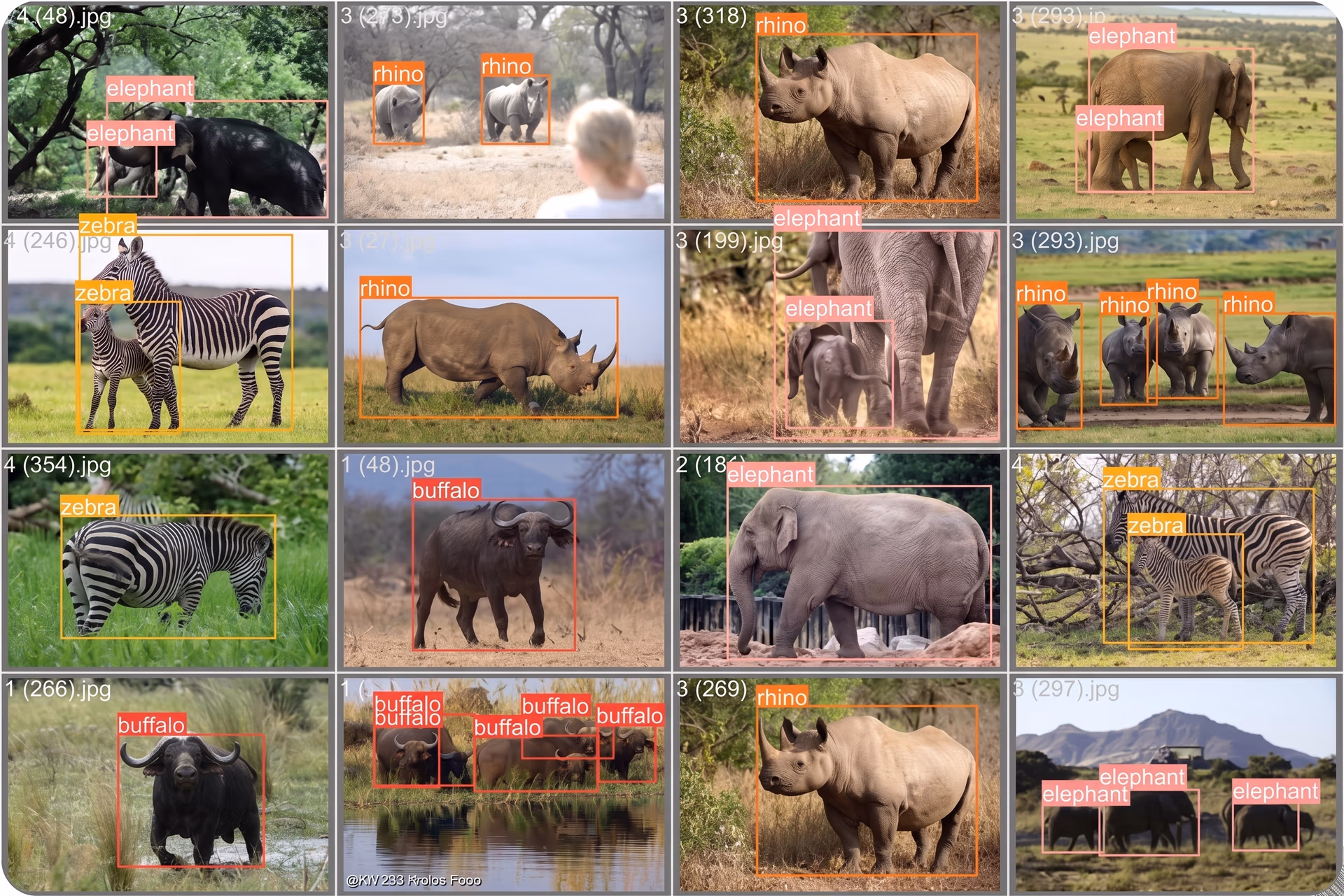 A glimpse of the African Wildlife Dataset