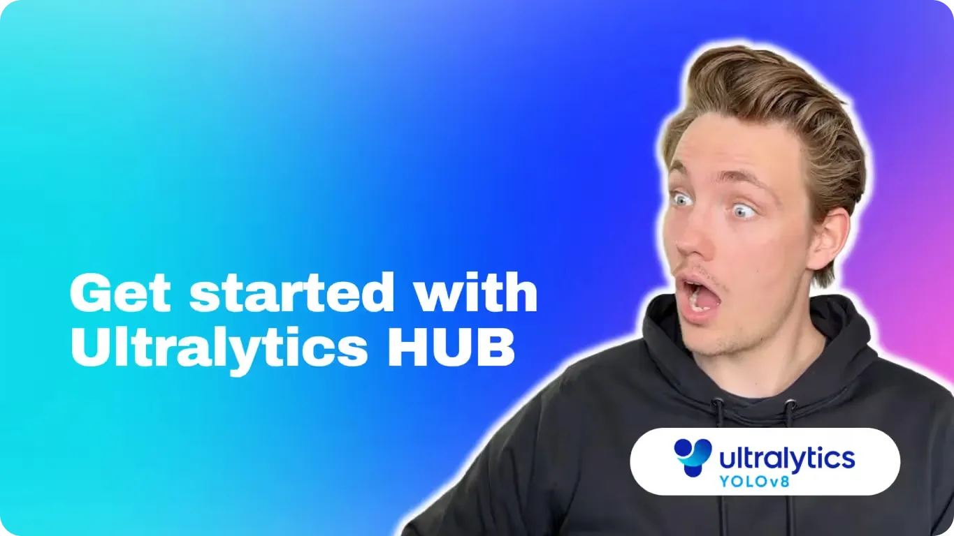 在 Ultralytics HUB 上训练自定义 YOLO 模型