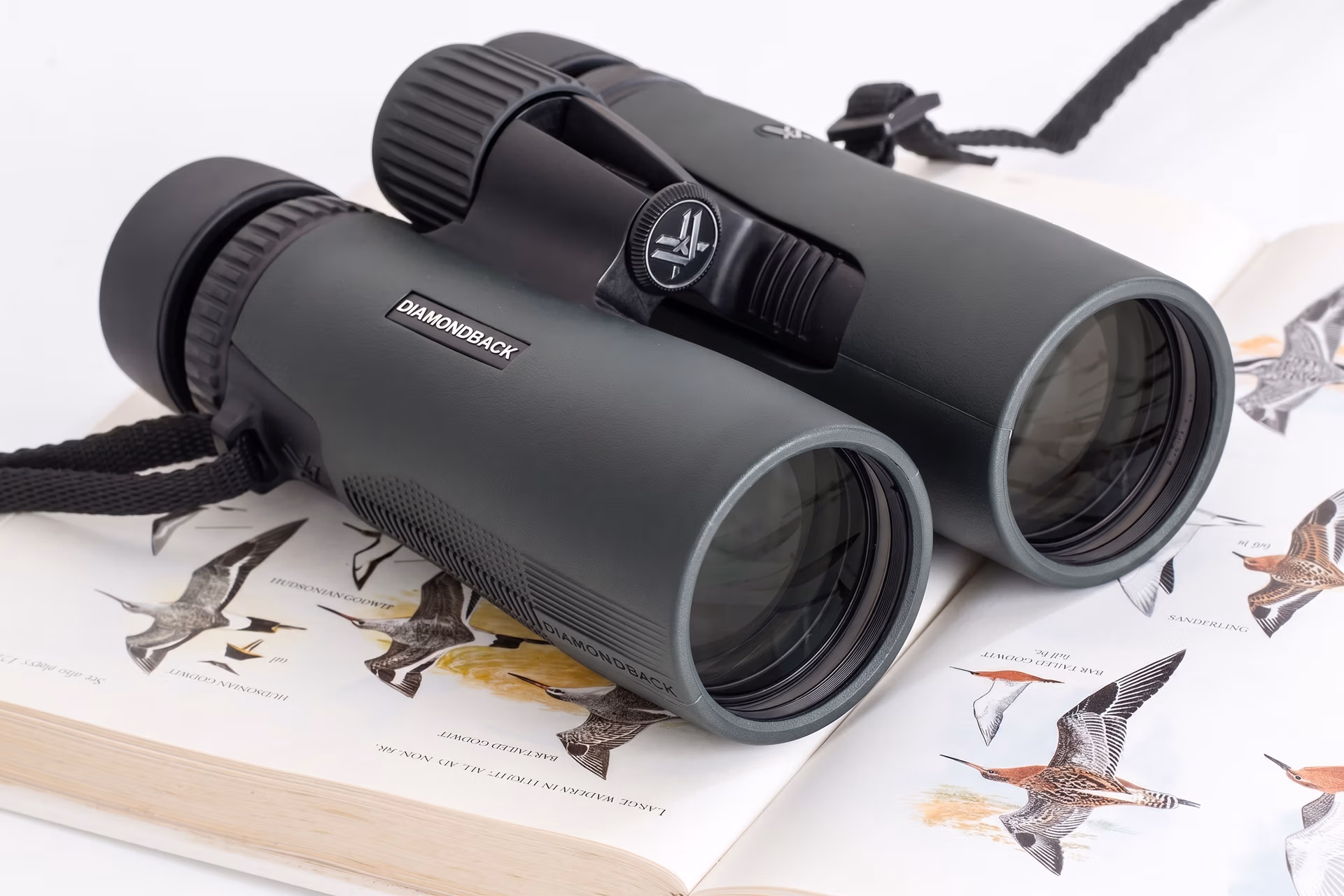 Roof prism binoculars for birdwatching