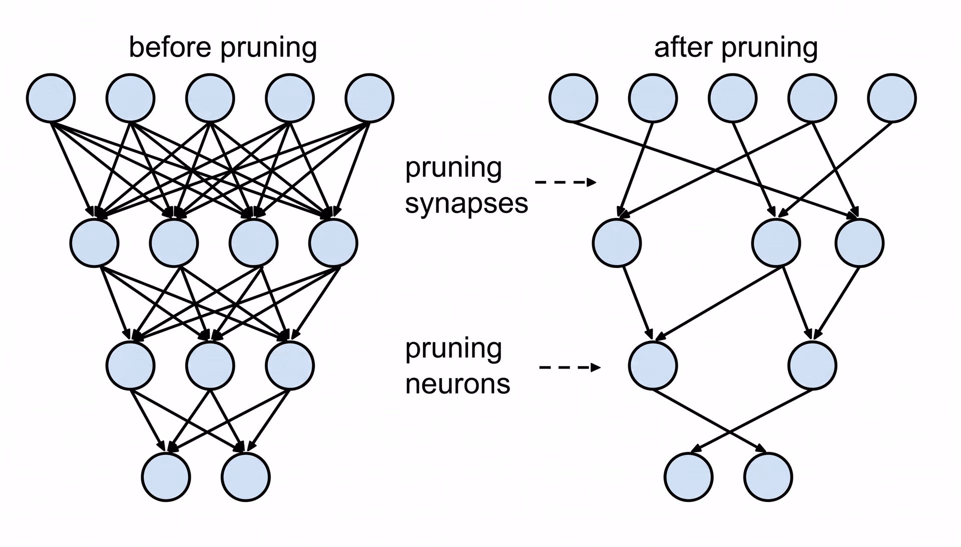 Neural network before and after model pruning