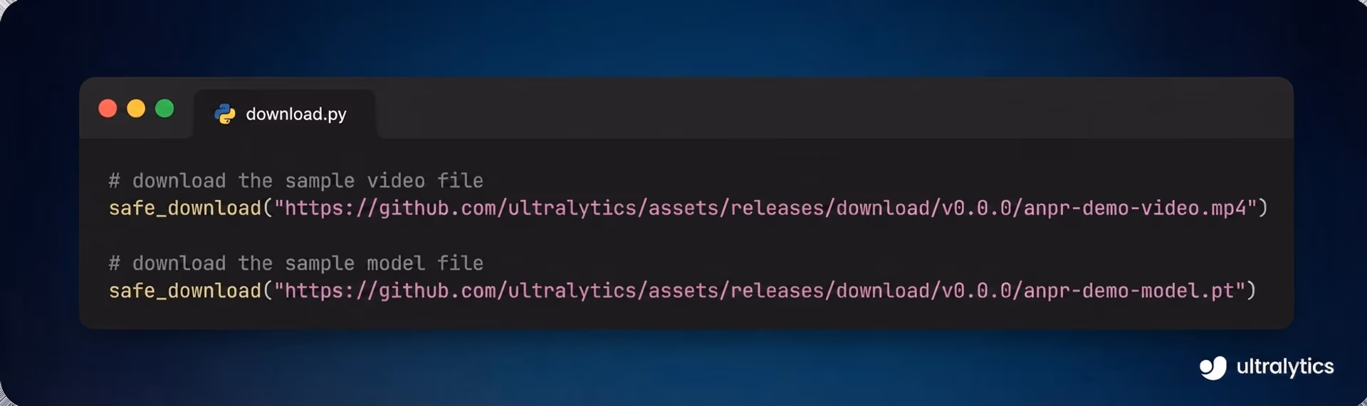 Downloading the model and video file