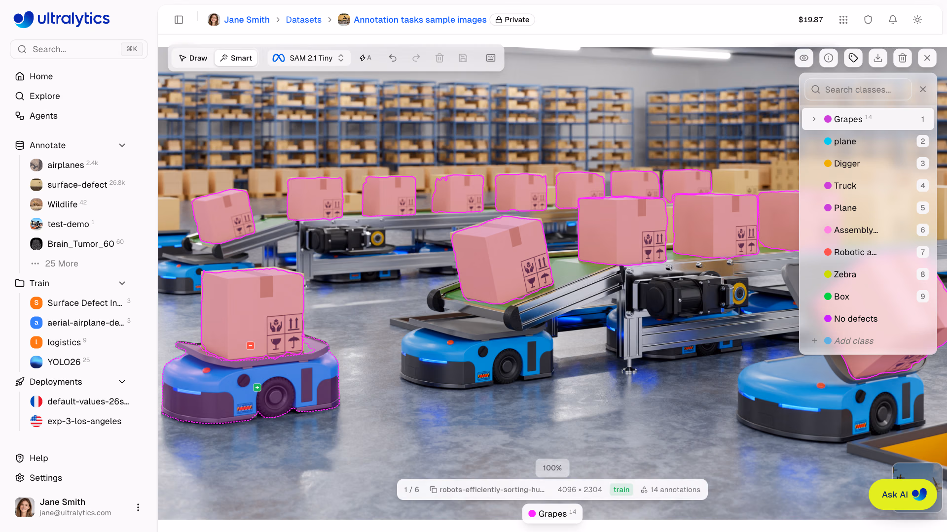 Ultralytics Platform Annotate Sam Positive Negative Points Mask
