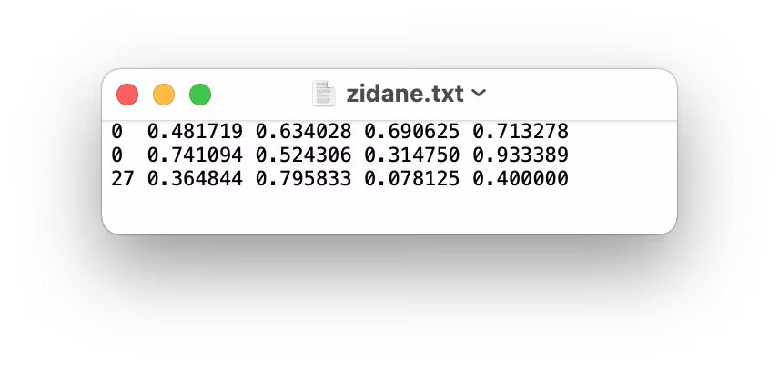 YOLO format label file content example