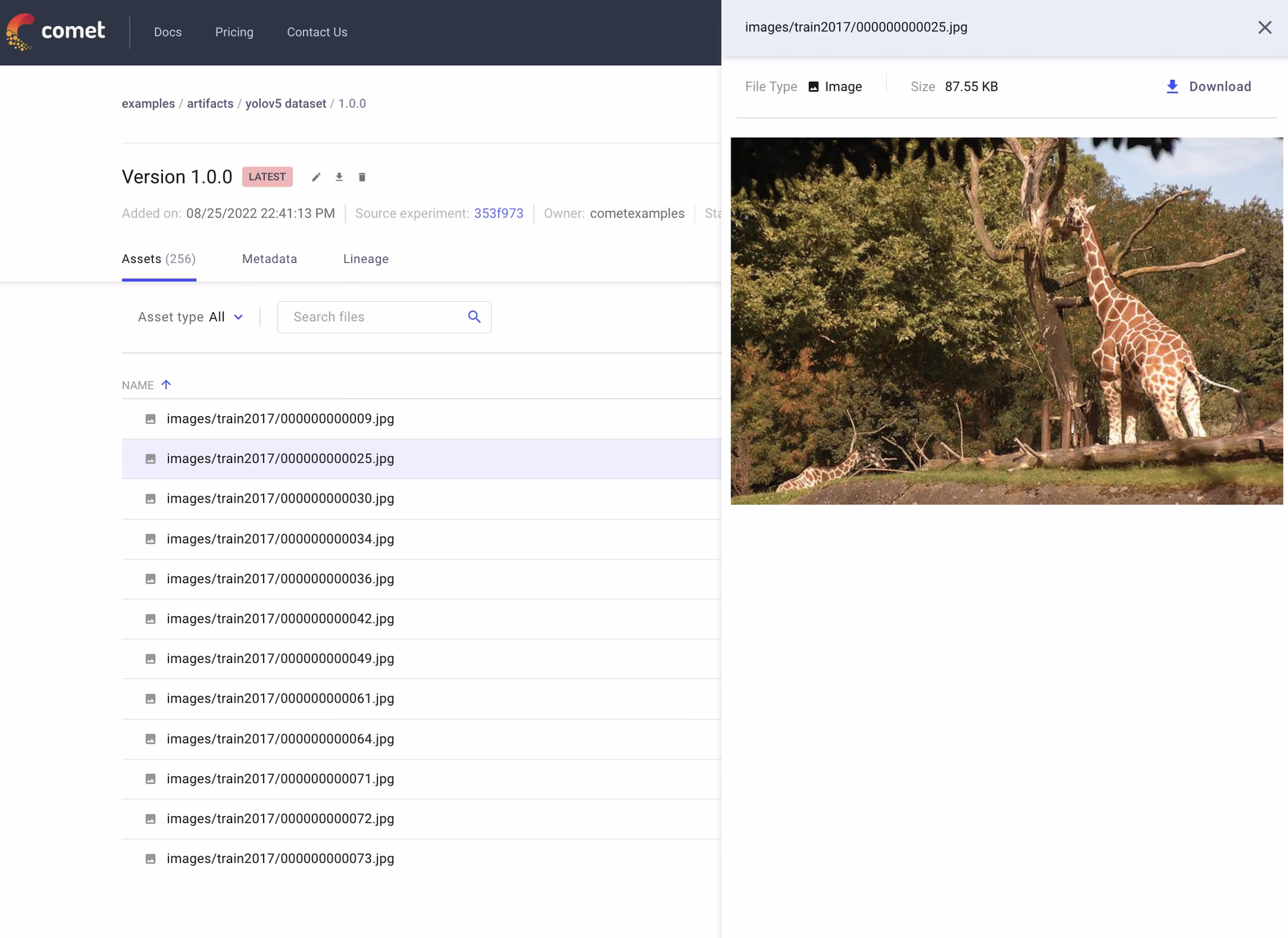 Comet dataset preview and version history