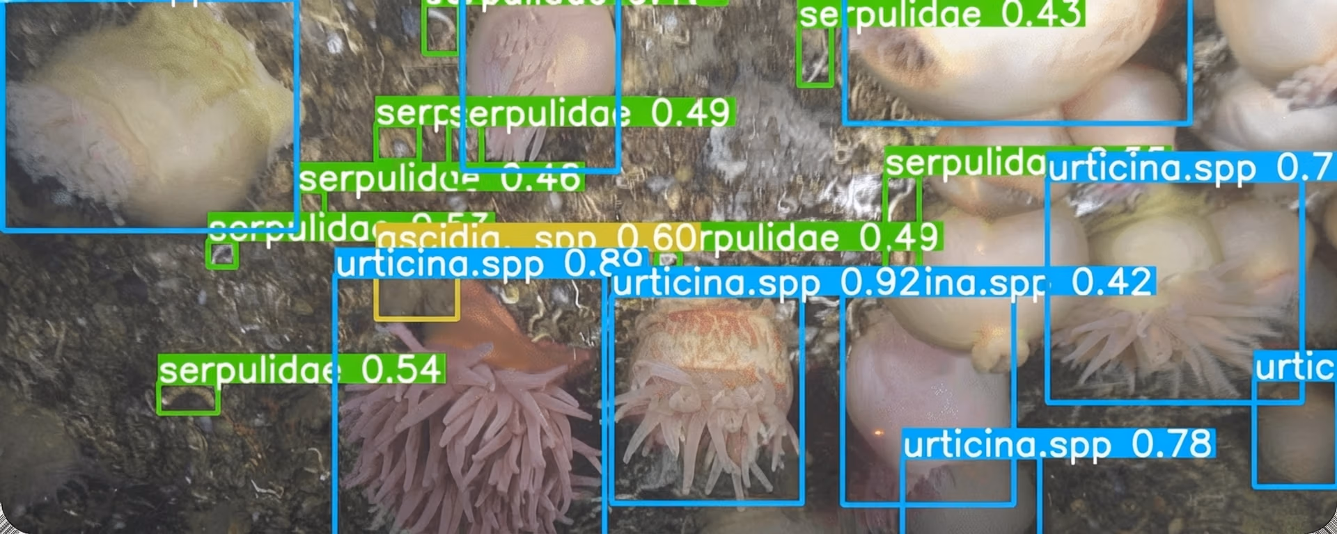 Computer vision monitoring the marine environment