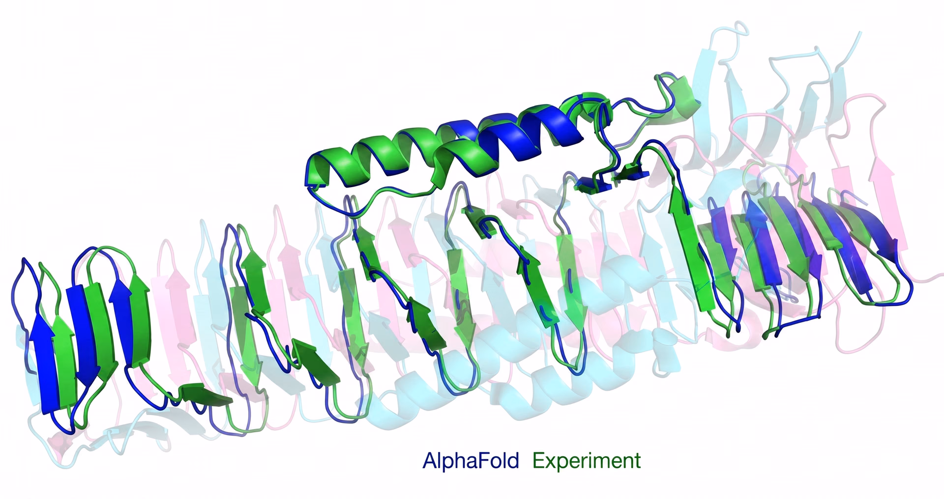 Predicting a protein's 3D structure using AlphaFold