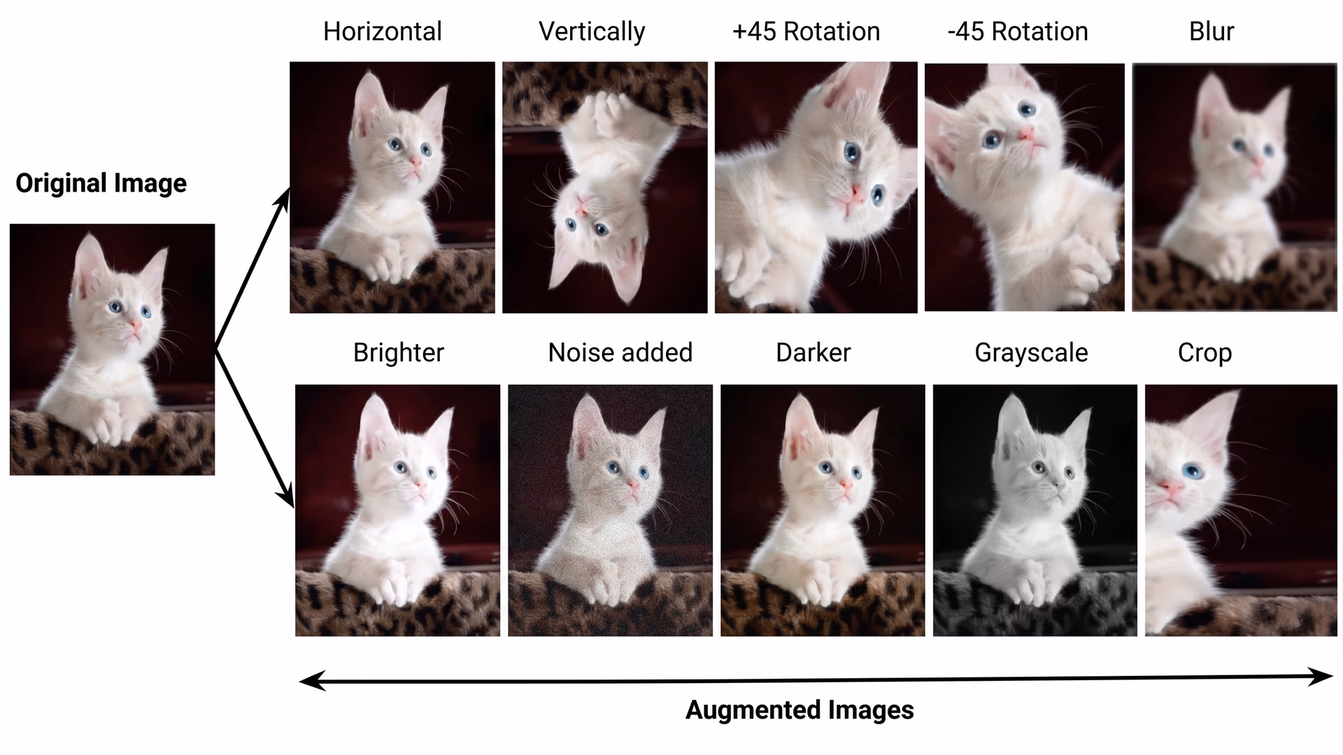 Examples of different types of image data augmentations