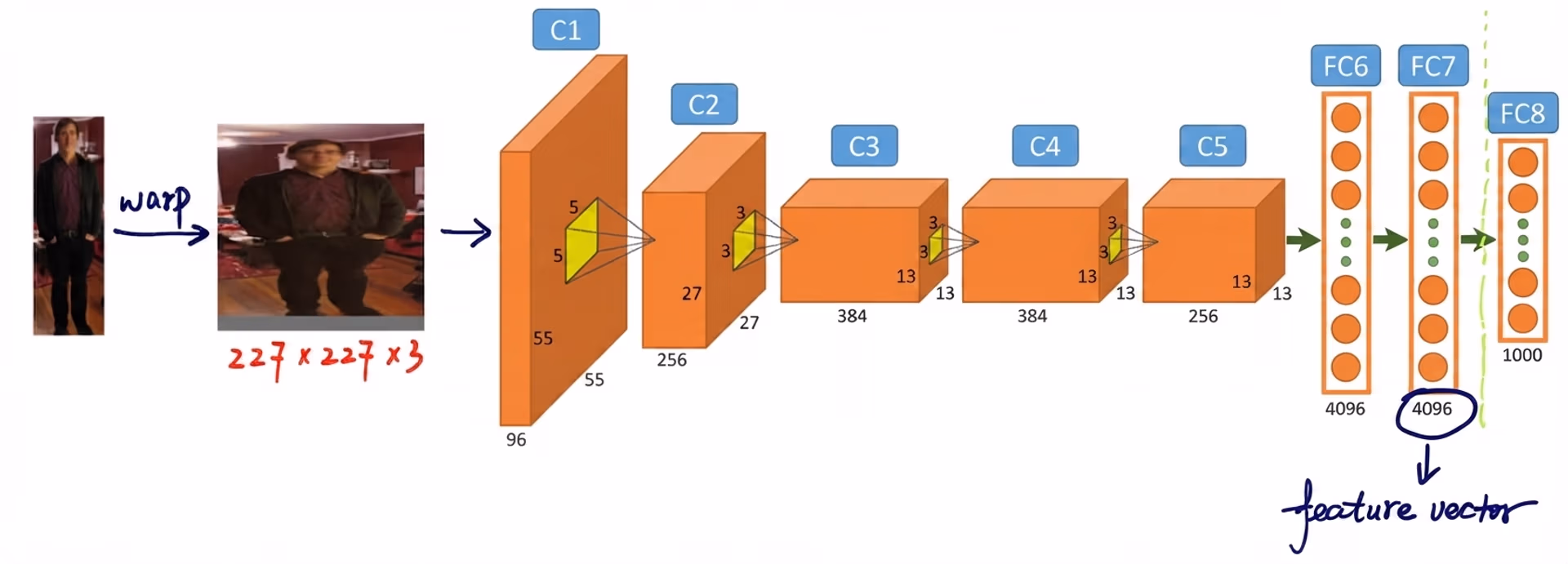 Extracting features from a region proposal using AlexNet
